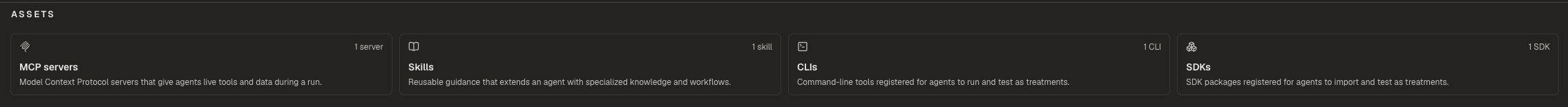 Assets page with Skills, MCP servers, CLIs, and SDKs.