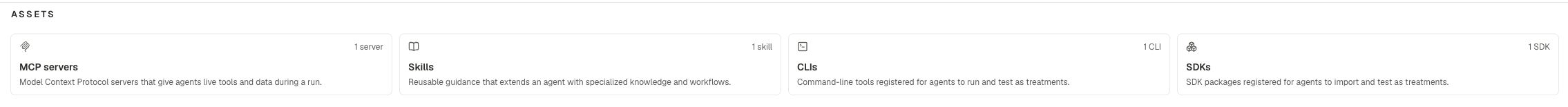 Assets page with Skills, MCP servers, CLIs, and SDKs.