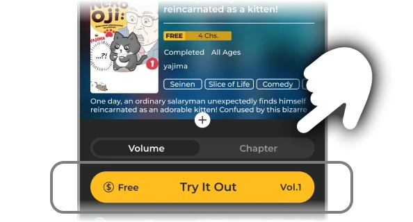 "Try it Out" button on a volume's details page