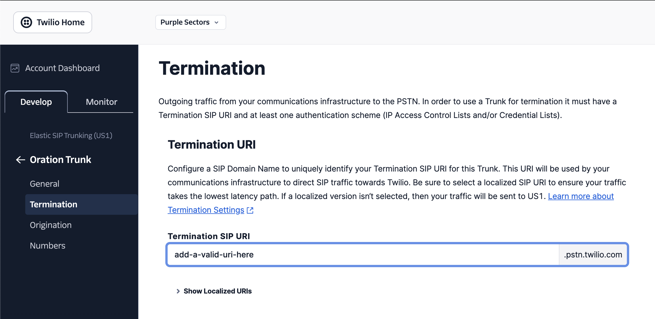Twilio Termination Setup
