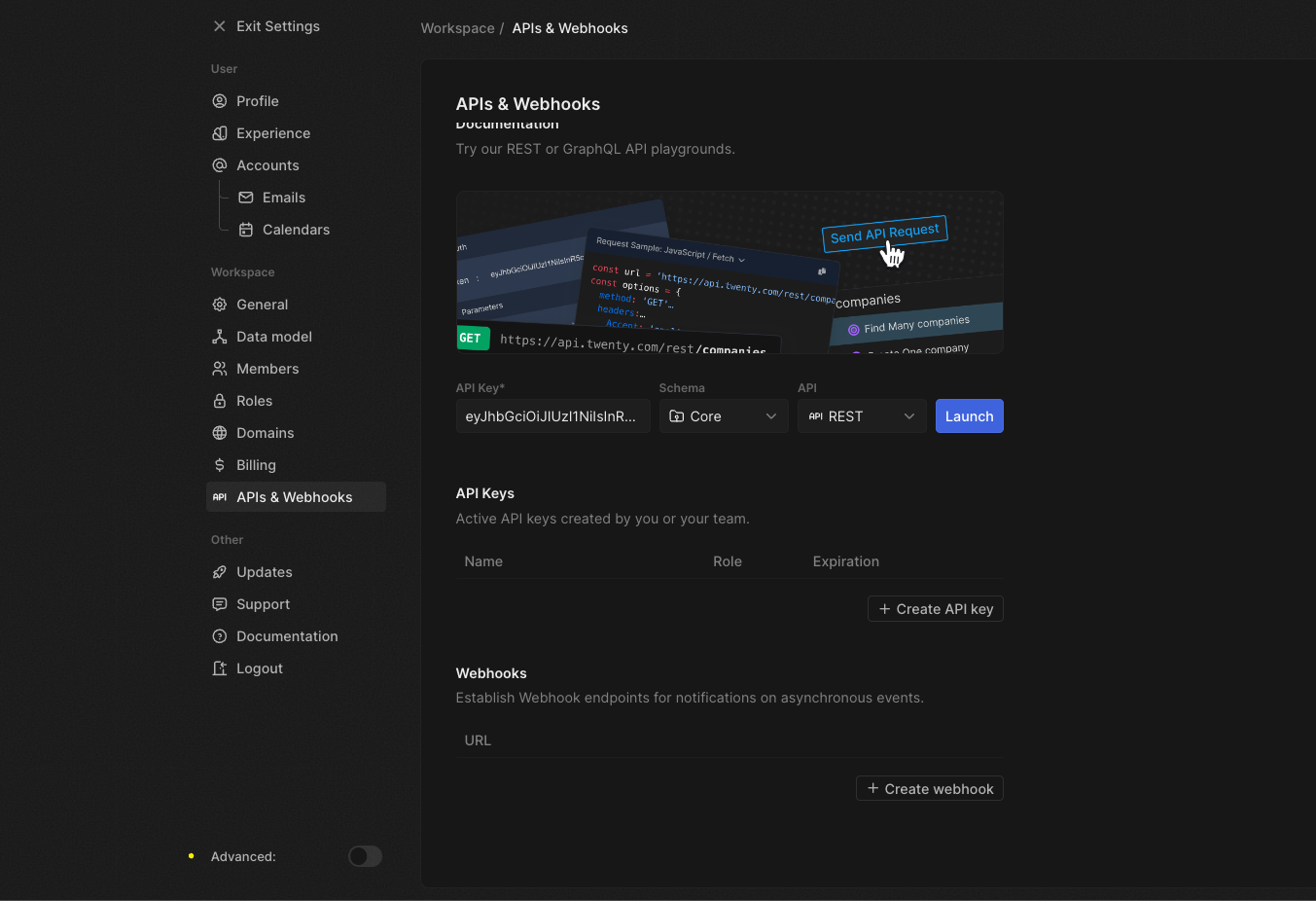 Twenty CRM API & Webhooks Settings