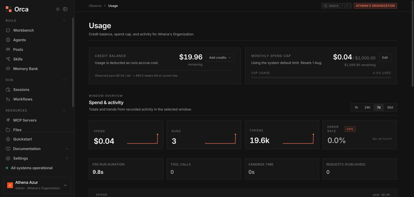 Usage page with credit balance, spend cap, and KPI cards