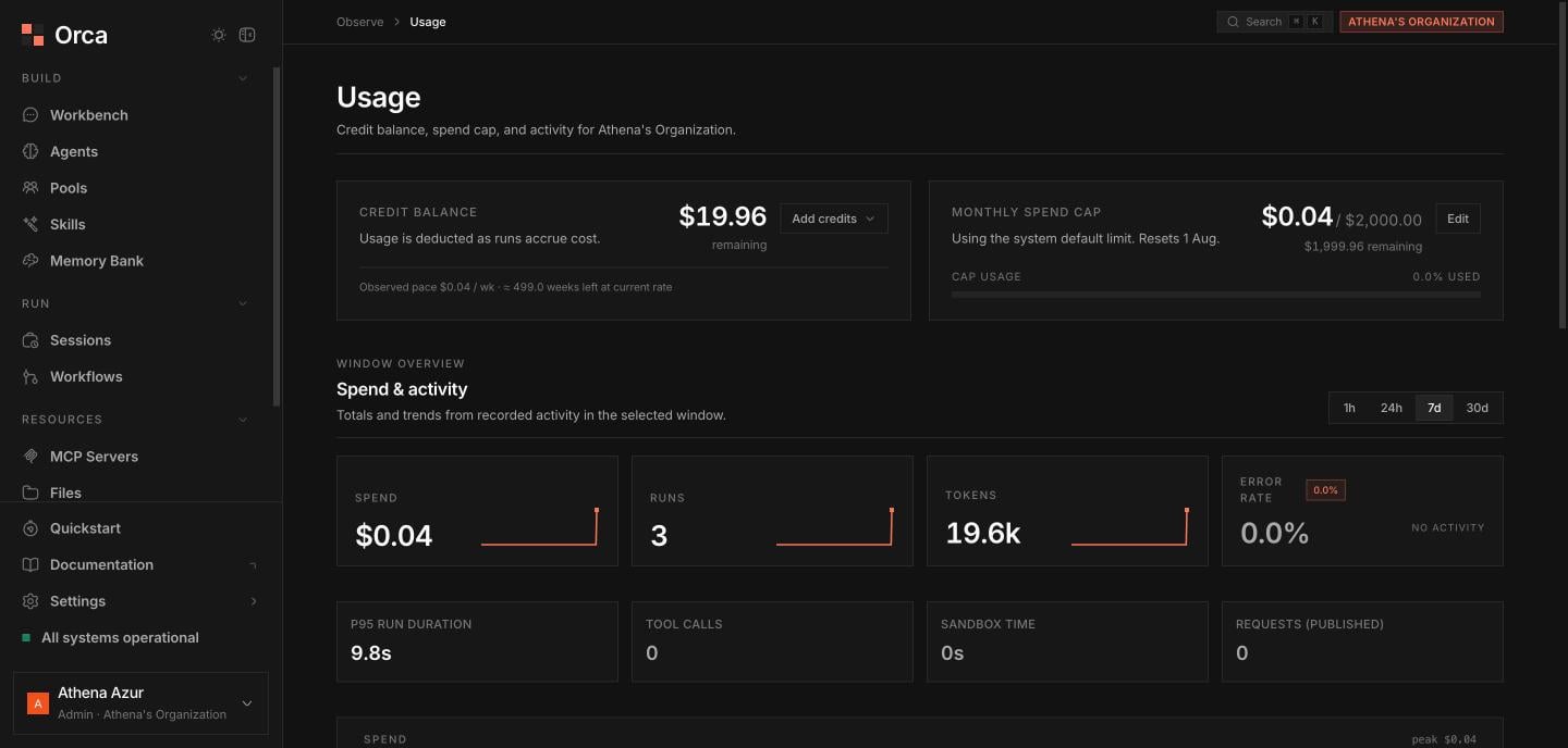 Usage page with credit balance, spend cap, and KPI cards