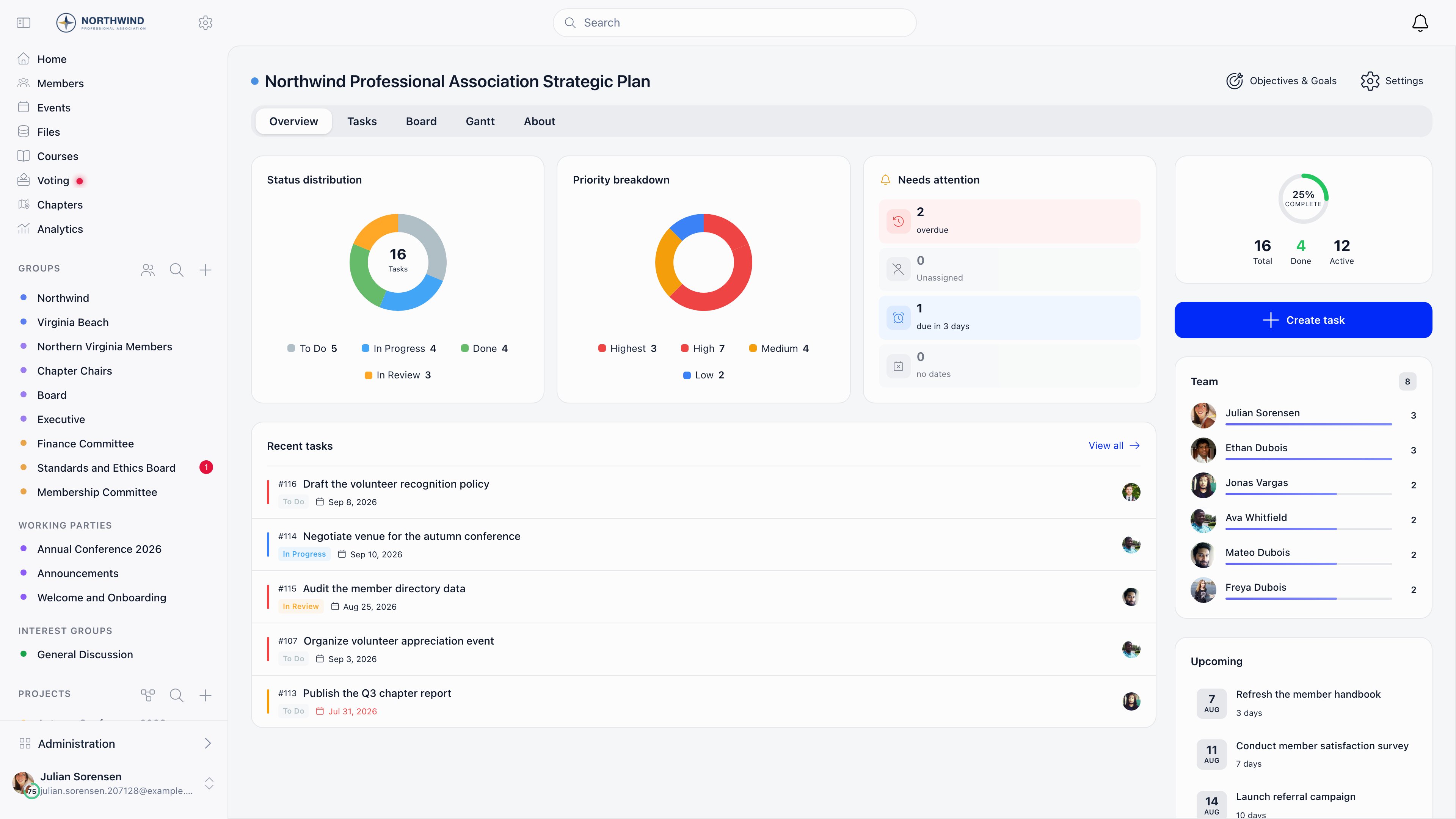 Project Overview tab with status and priority pie charts, a needs attention panel, recent tasks and a team workload list