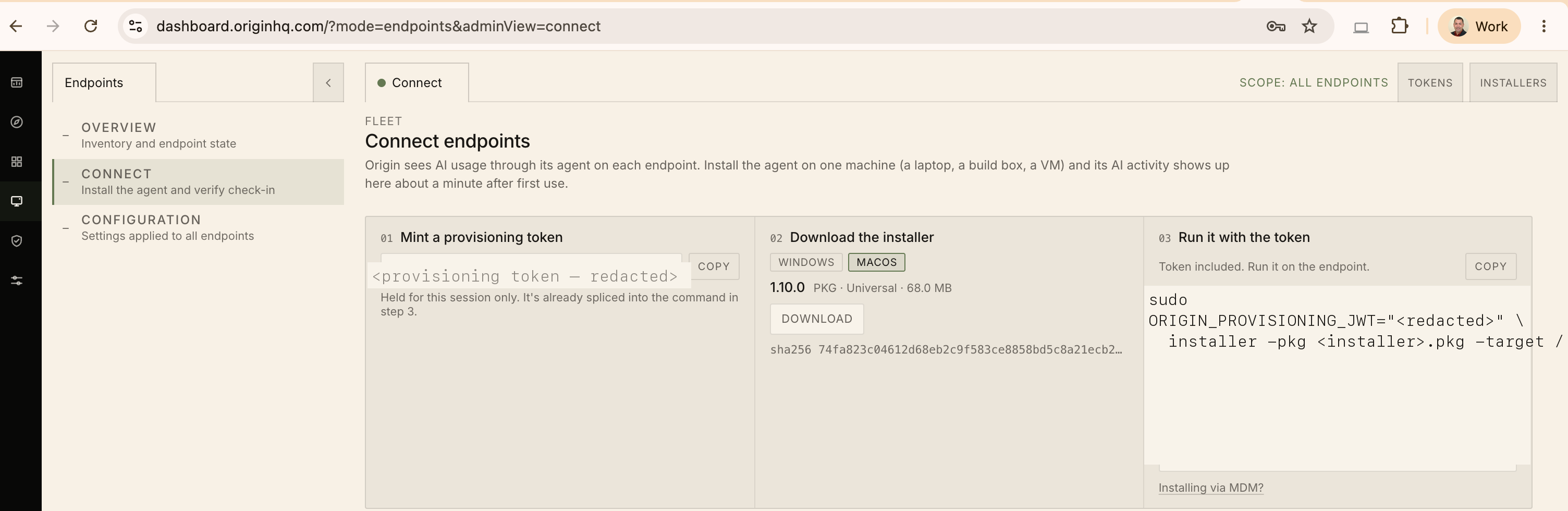 The Endpoints → Connect page, with the Installers and Tokens buttons in the top-right and the three-step mint token / download installer / run it flow below.