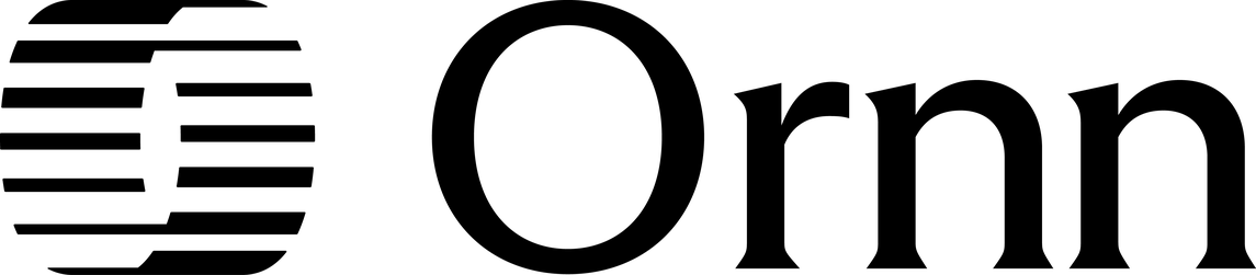 light logo