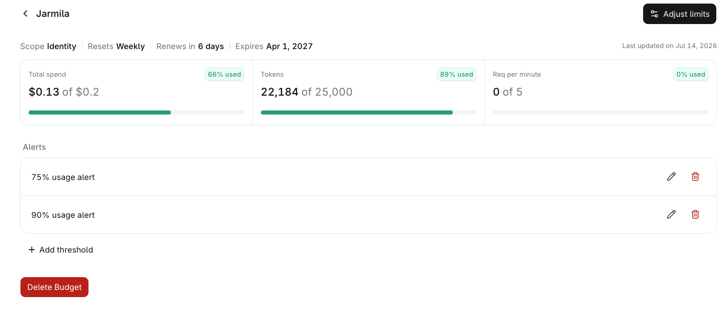 Budget detail page for identity Jarmila showing 66% used of $0.20 total spend, 89% used of 25,000 tokens, 0% used of 5 requests per minute, and two alerts configured at 75% and 90% usage.
