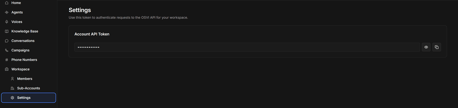 Workspace Settings showing the account API token, hidden, with reveal and copy buttons