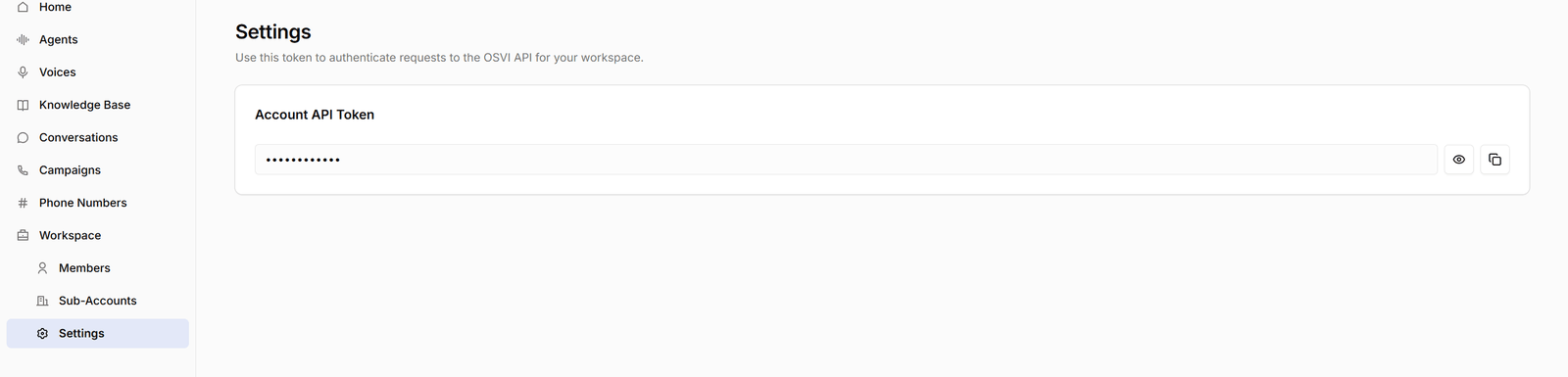 Workspace Settings showing the account API token, hidden, with reveal and copy buttons