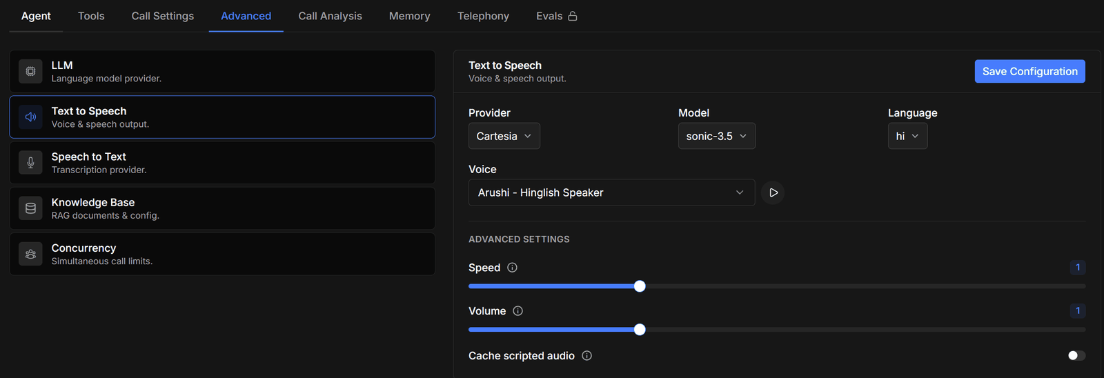 The Text to Speech section with provider, model, language, and voice picker