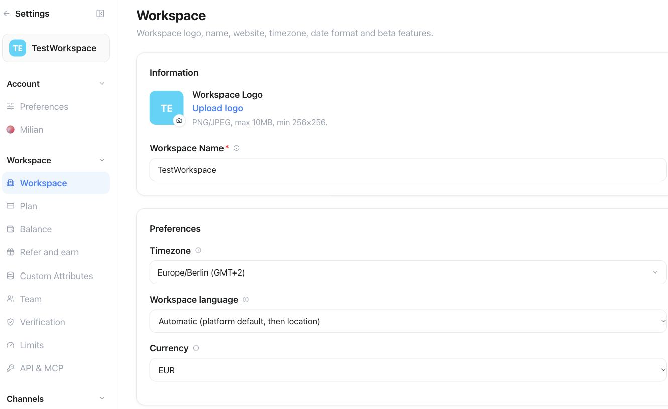 Workspace settings sidebar, logo and name fields, timezone and language controls