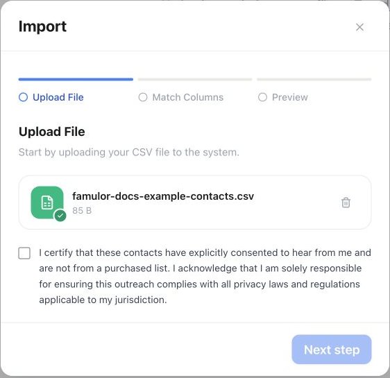 CSV import upload step with an example file and unchecked consent