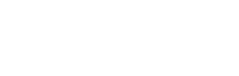 light logo