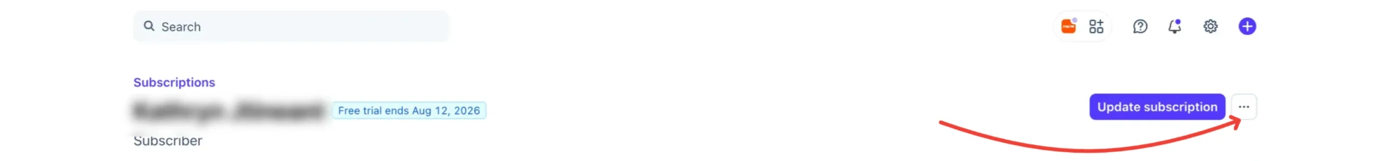 The menu button (three dots) next to the Update subscription button on a Stripe subscription page