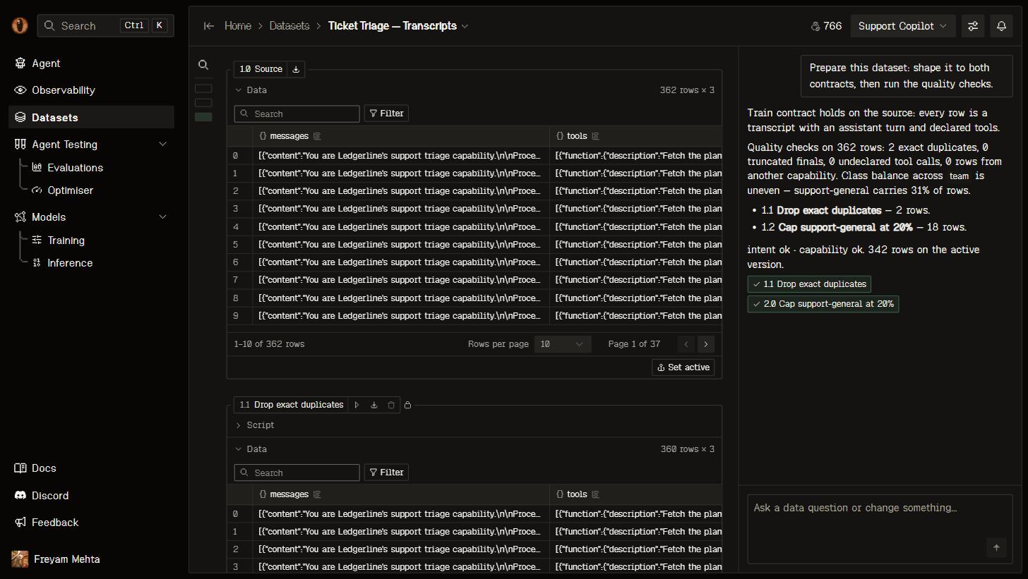 Data Workshop with cells and the dataset agent