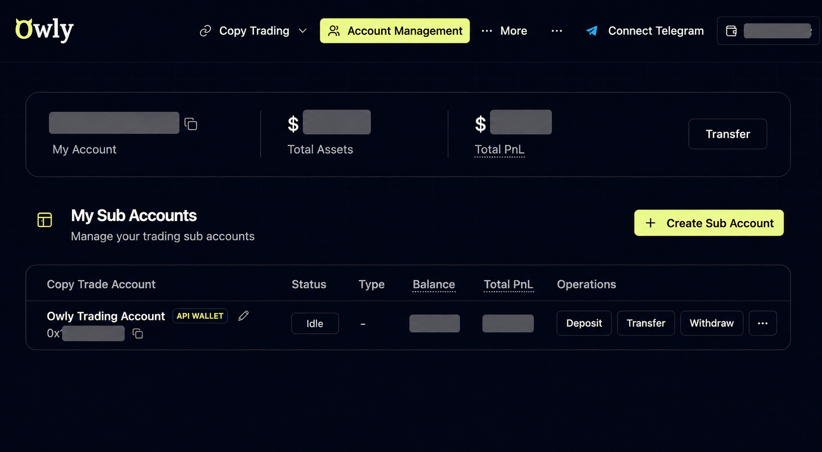 Owly 账户管理页中的 API 钱包交易账户，地址和余额已遮挡