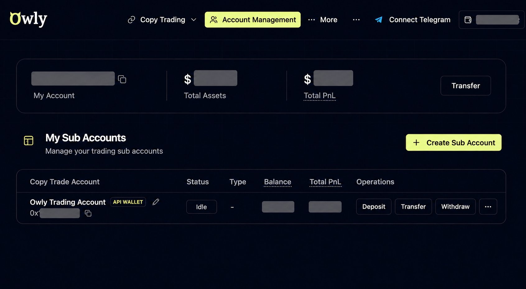 Owly 账户管理页中的 API 钱包交易账户,地址和余额已遮挡