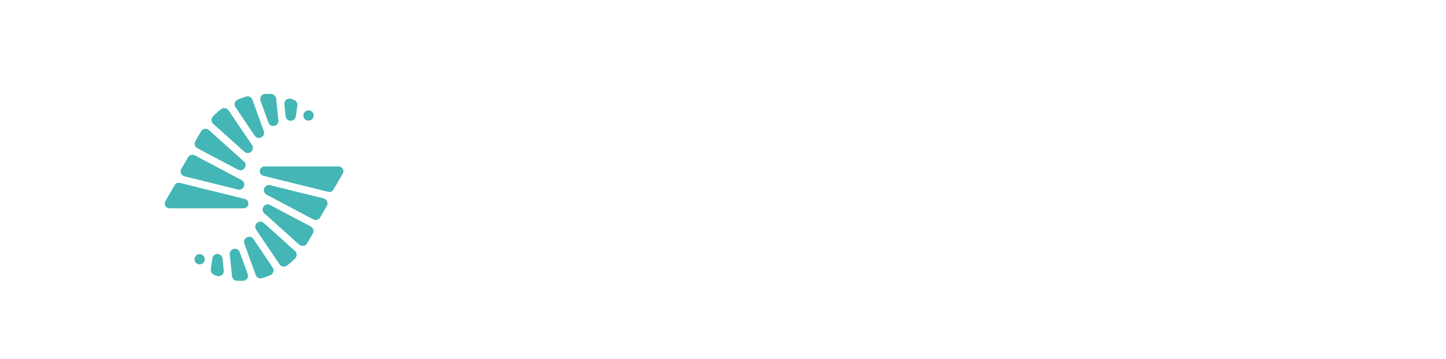 dark logo