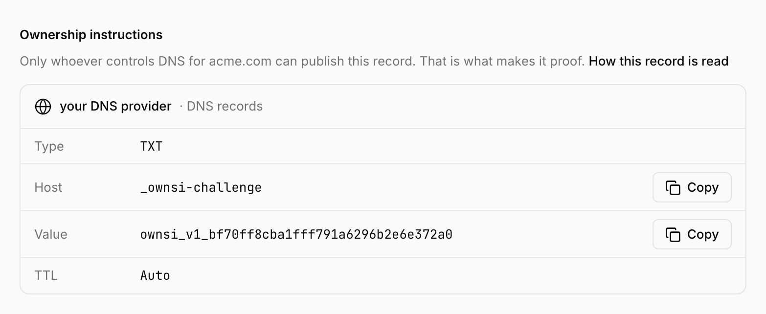 The record card in ownsi, listing Type TXT, Host _ownsi-challenge, the token as the Value, and TTL Auto, each with a copy button.