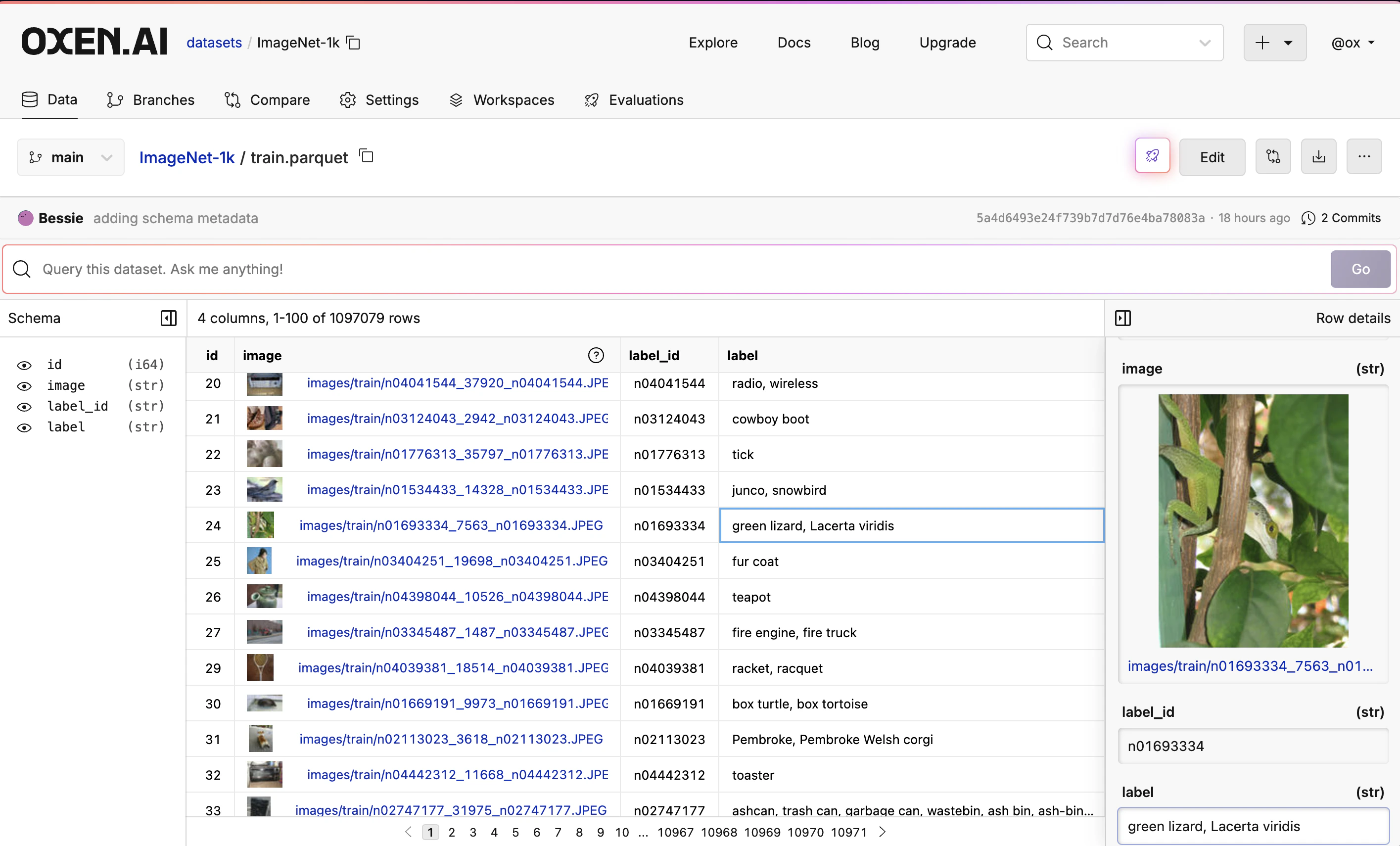 ImageNet-Oxen-DataFrame
