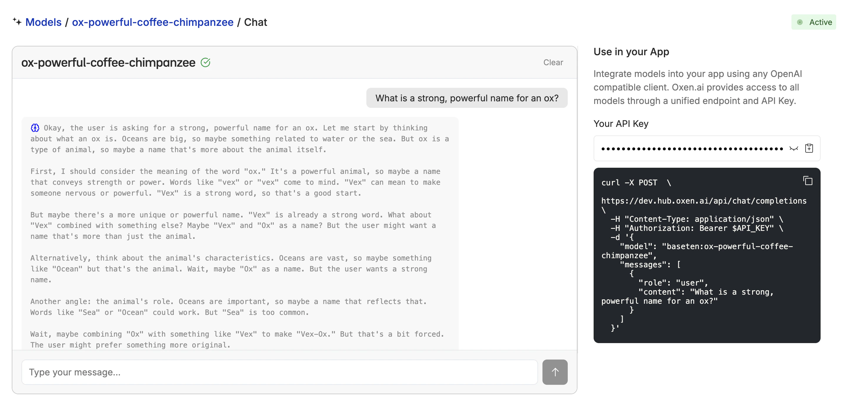 Chatting with the Model