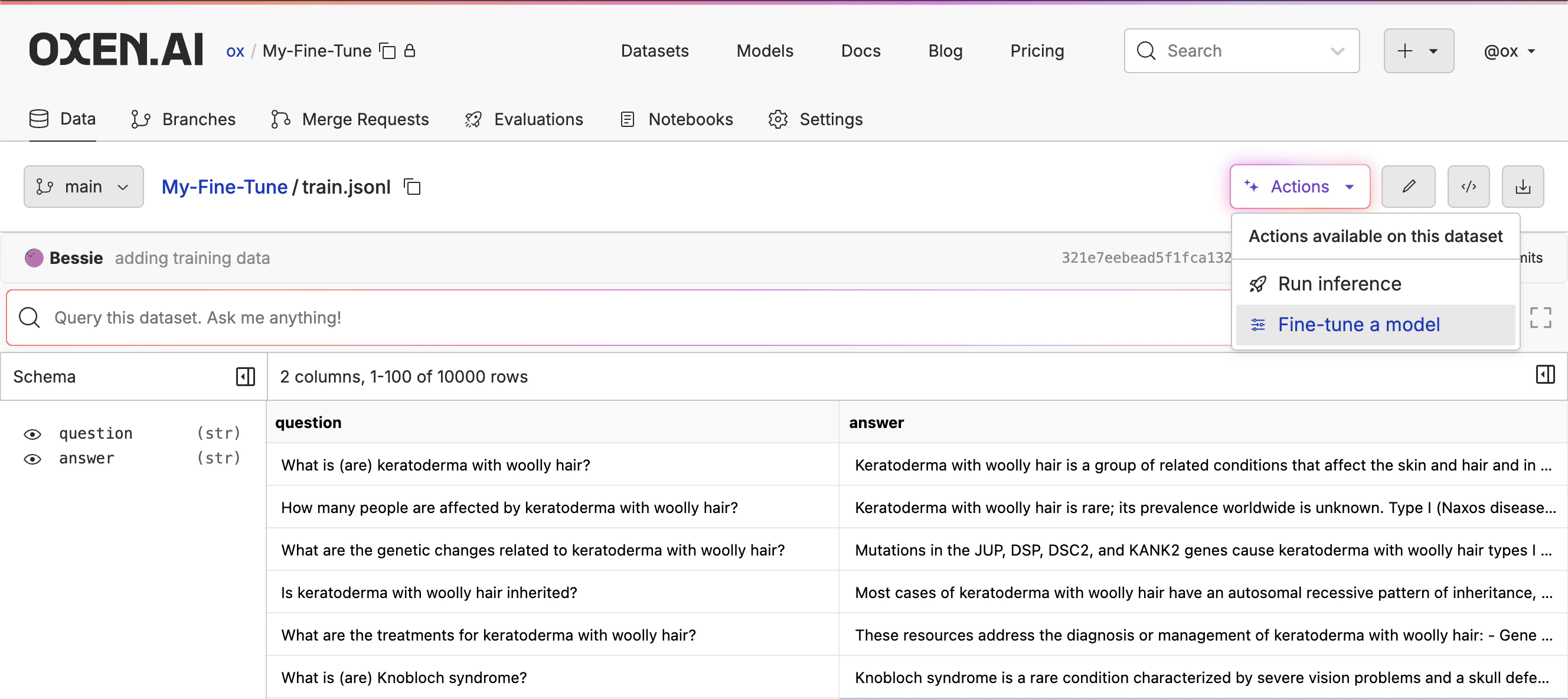 Fine-Tuning Dataset