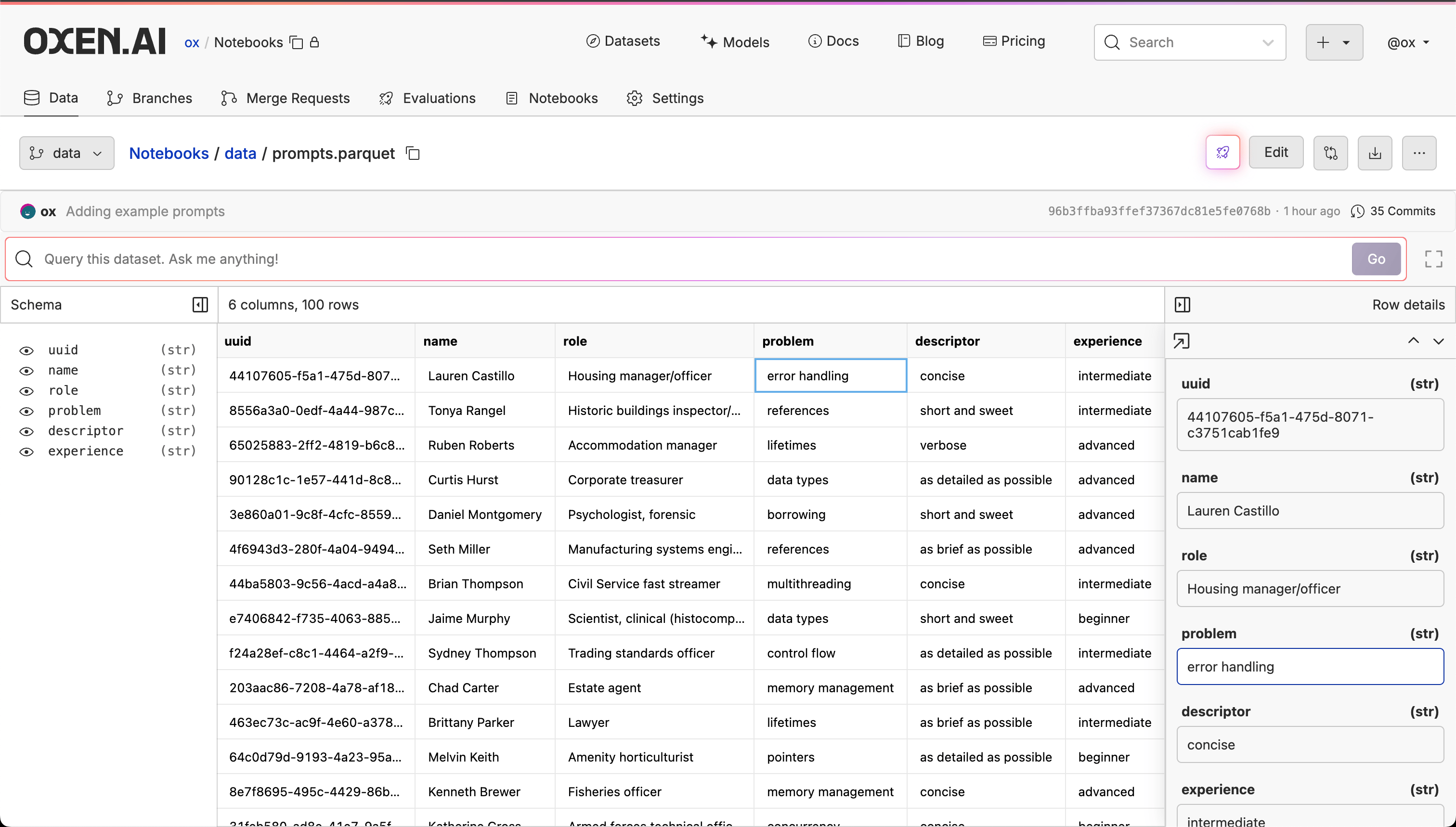 Dataset Interface