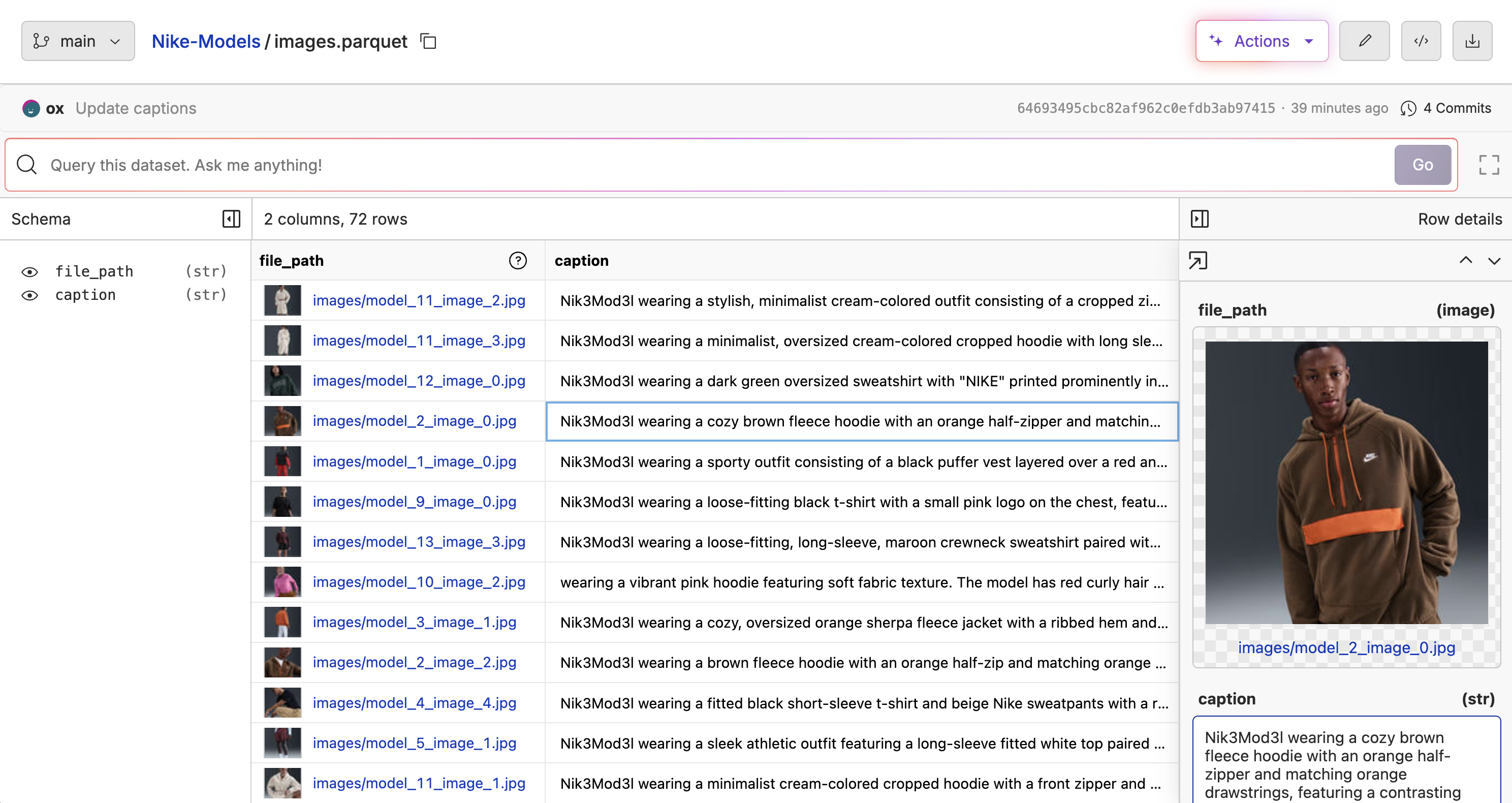 Dataset Format