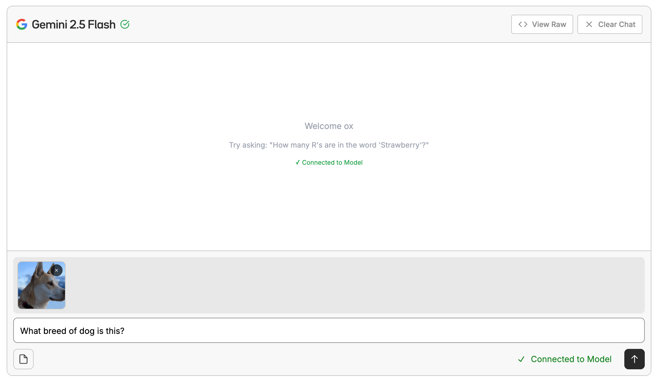 Chat Interface