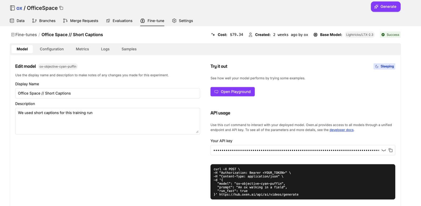 Deploy the Model and API usage