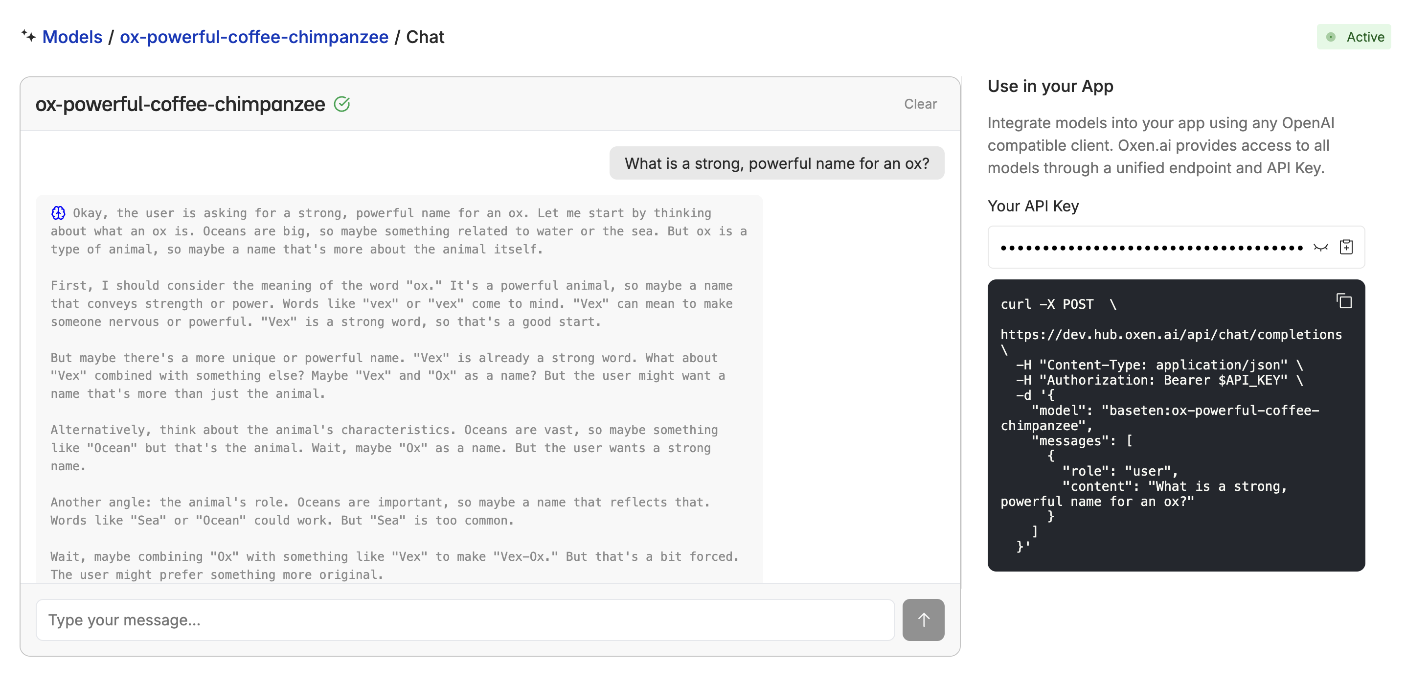 Chatting with the Model