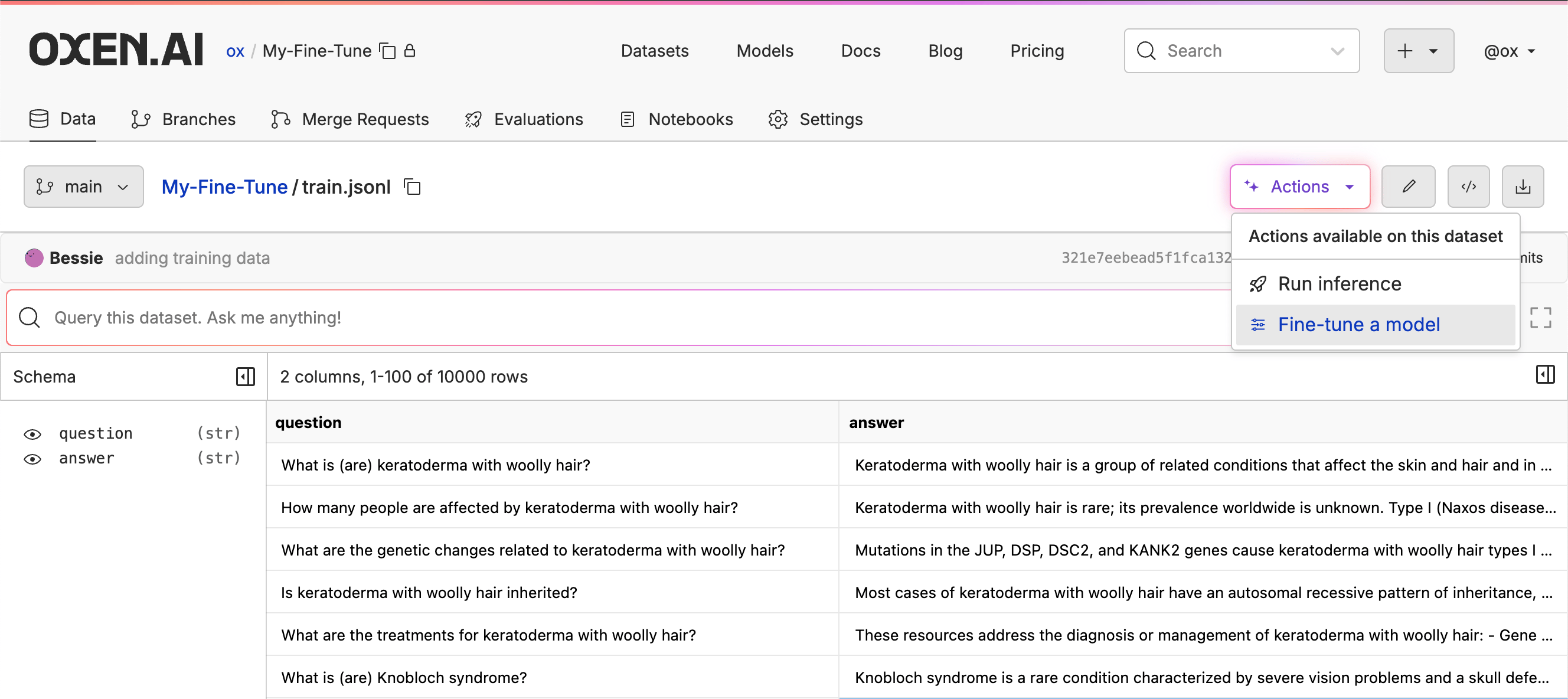 Fine-Tuning Dataset