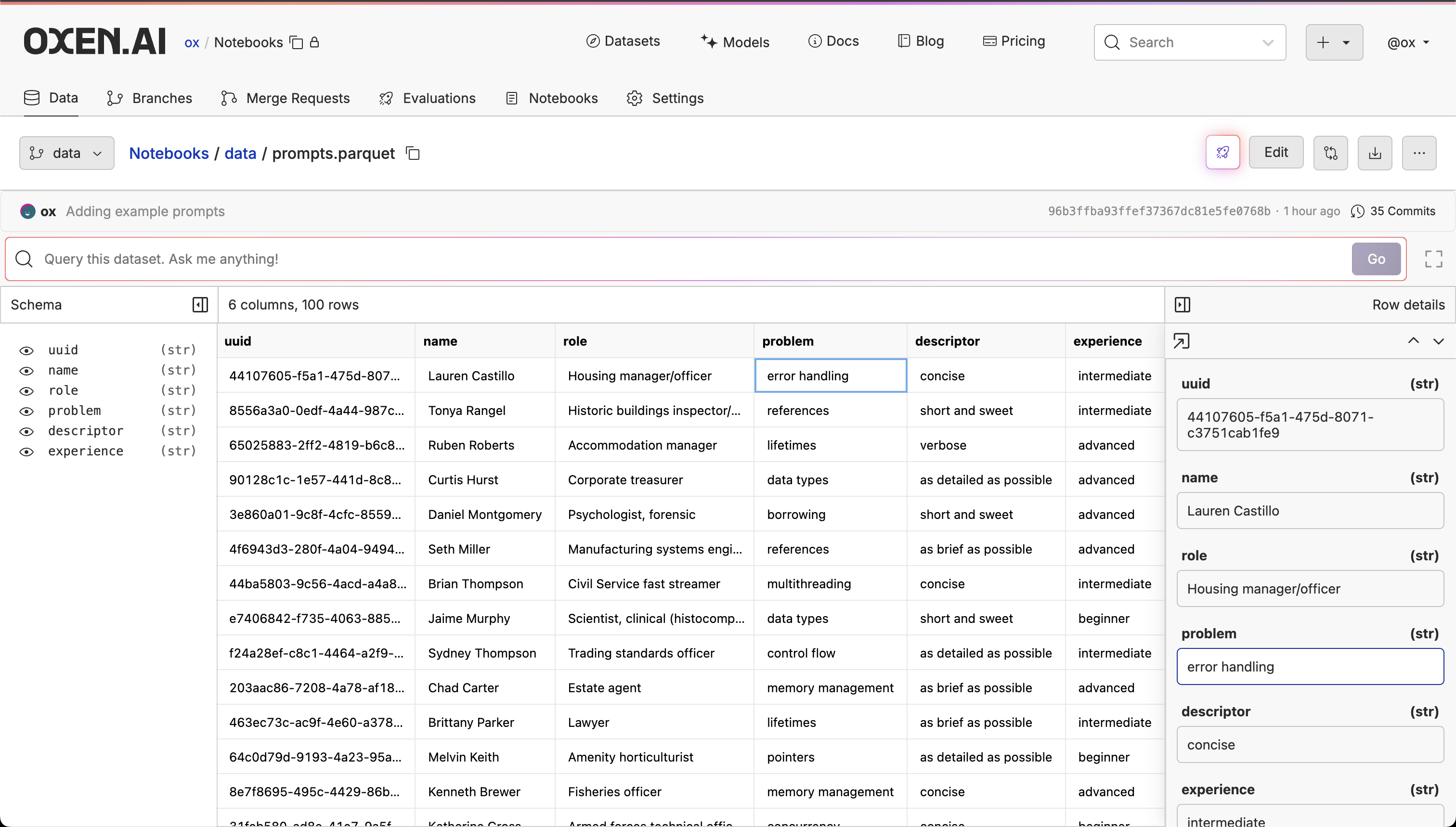 Dataset Interface