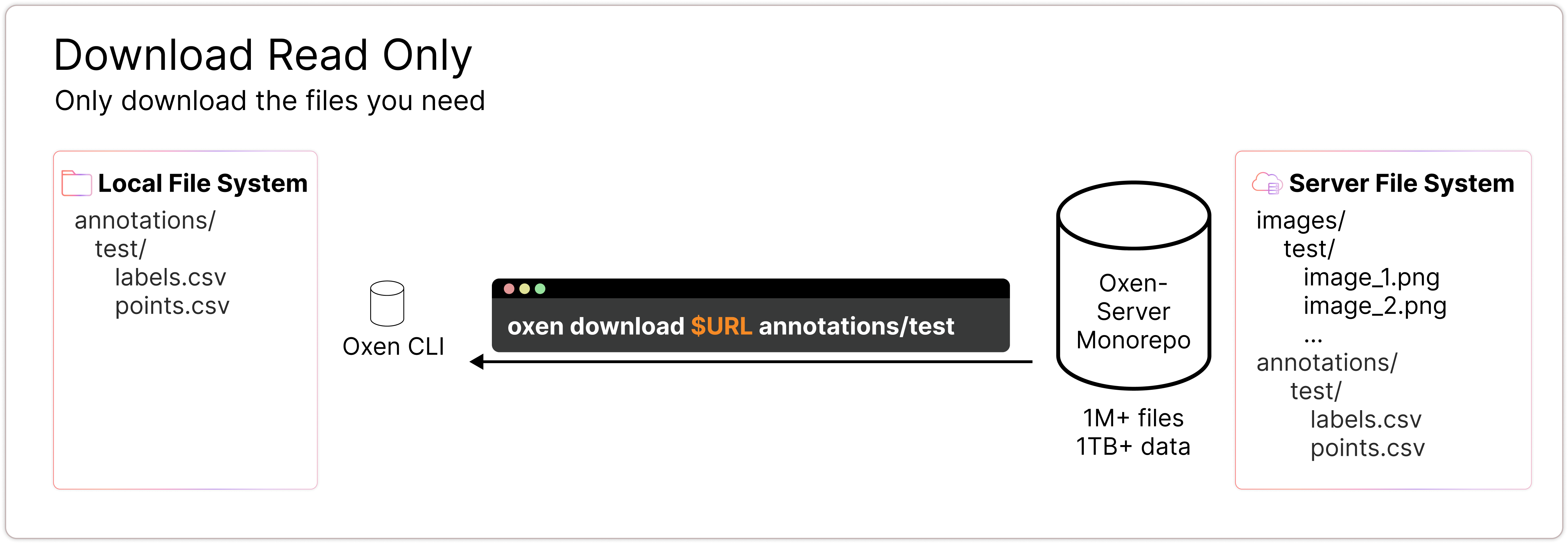 Download Read Only