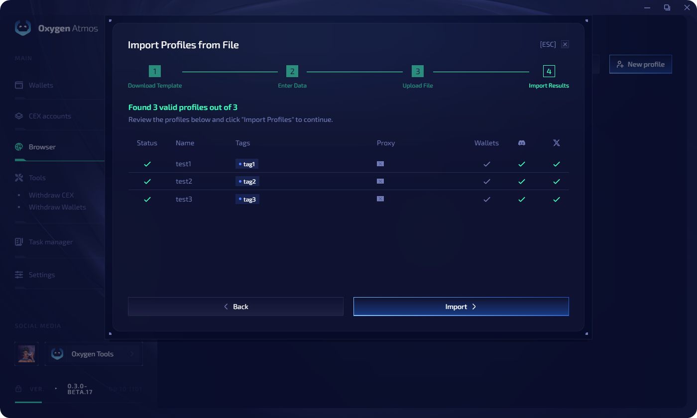 File import — review and confirm