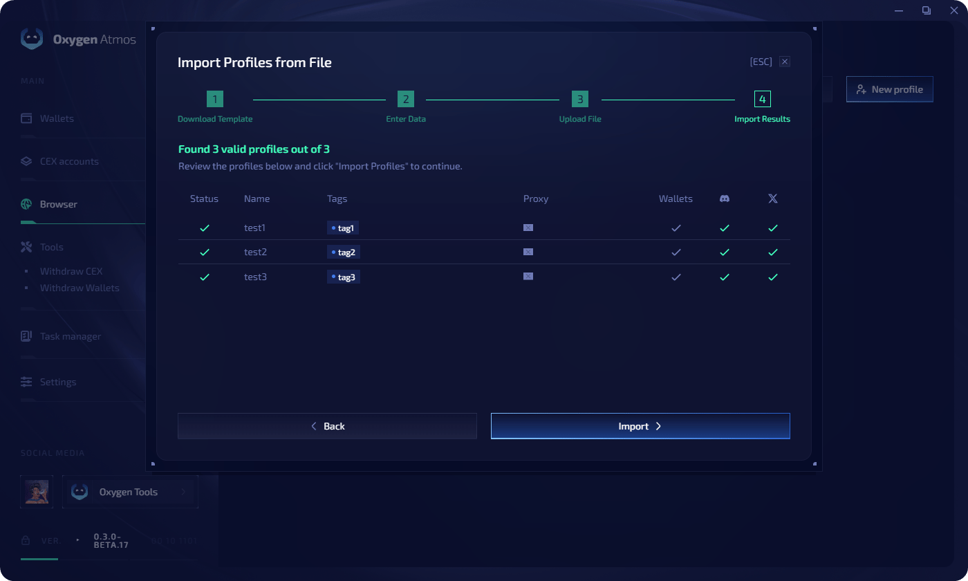 File import — review and confirm