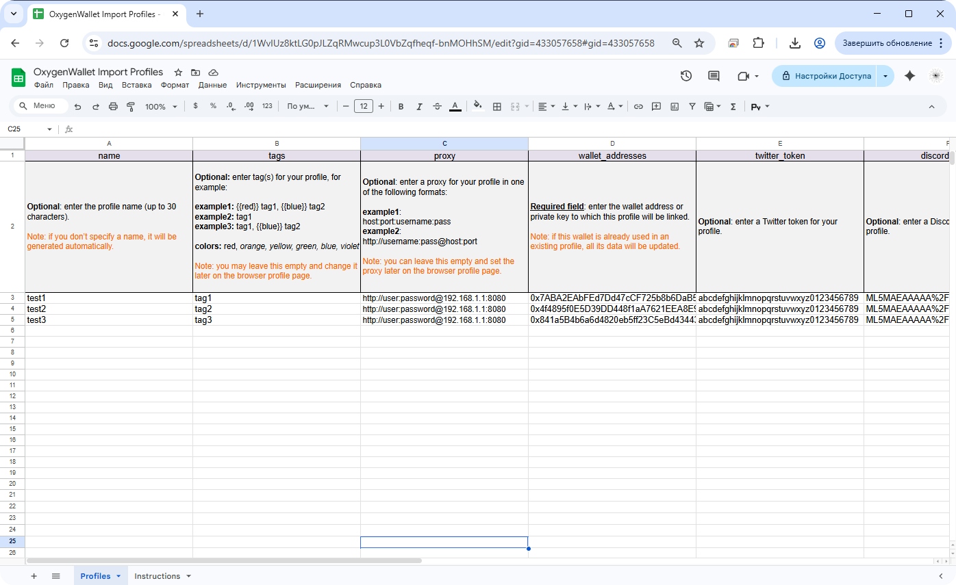 Template — column headers with descriptions