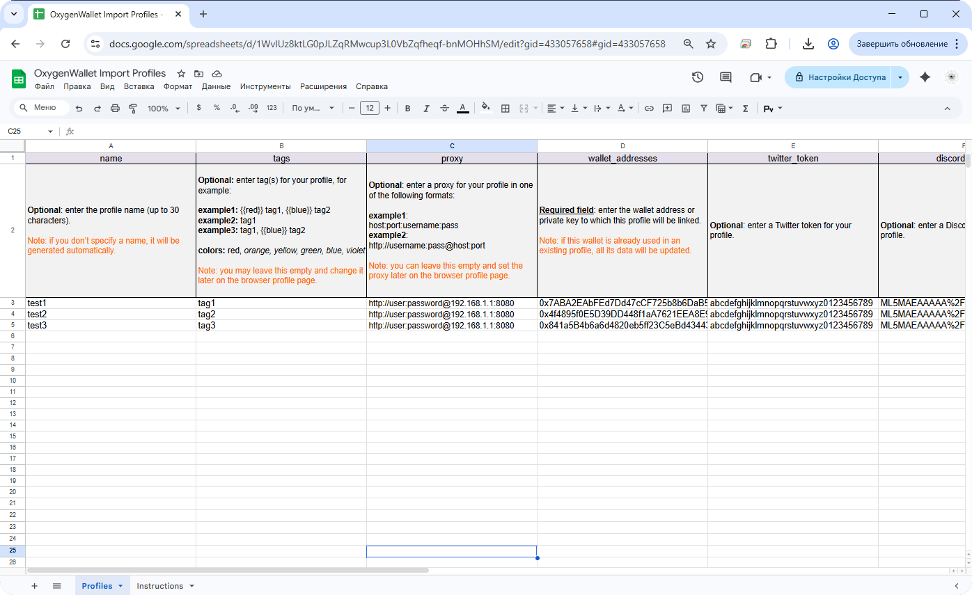 Template — column headers with descriptions