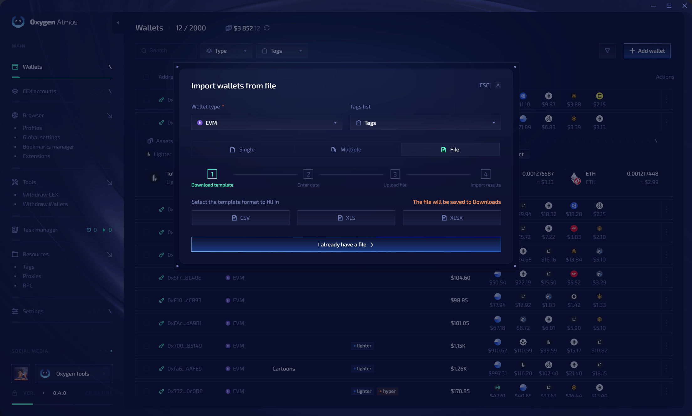 Wallet file import and template download