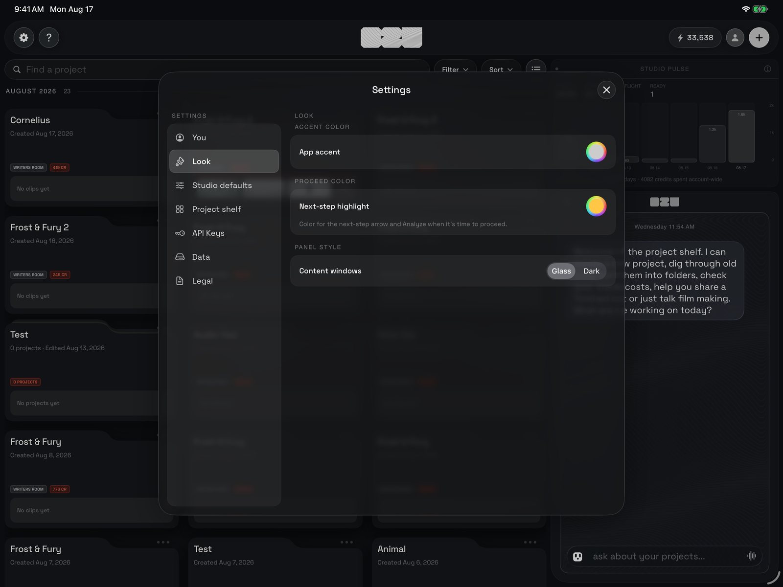 App Settings open on Look: the seven sections down the left (You, Look, Studio defaults, Project shelf, API Keys, Data, Legal) and the Look pane on the right.