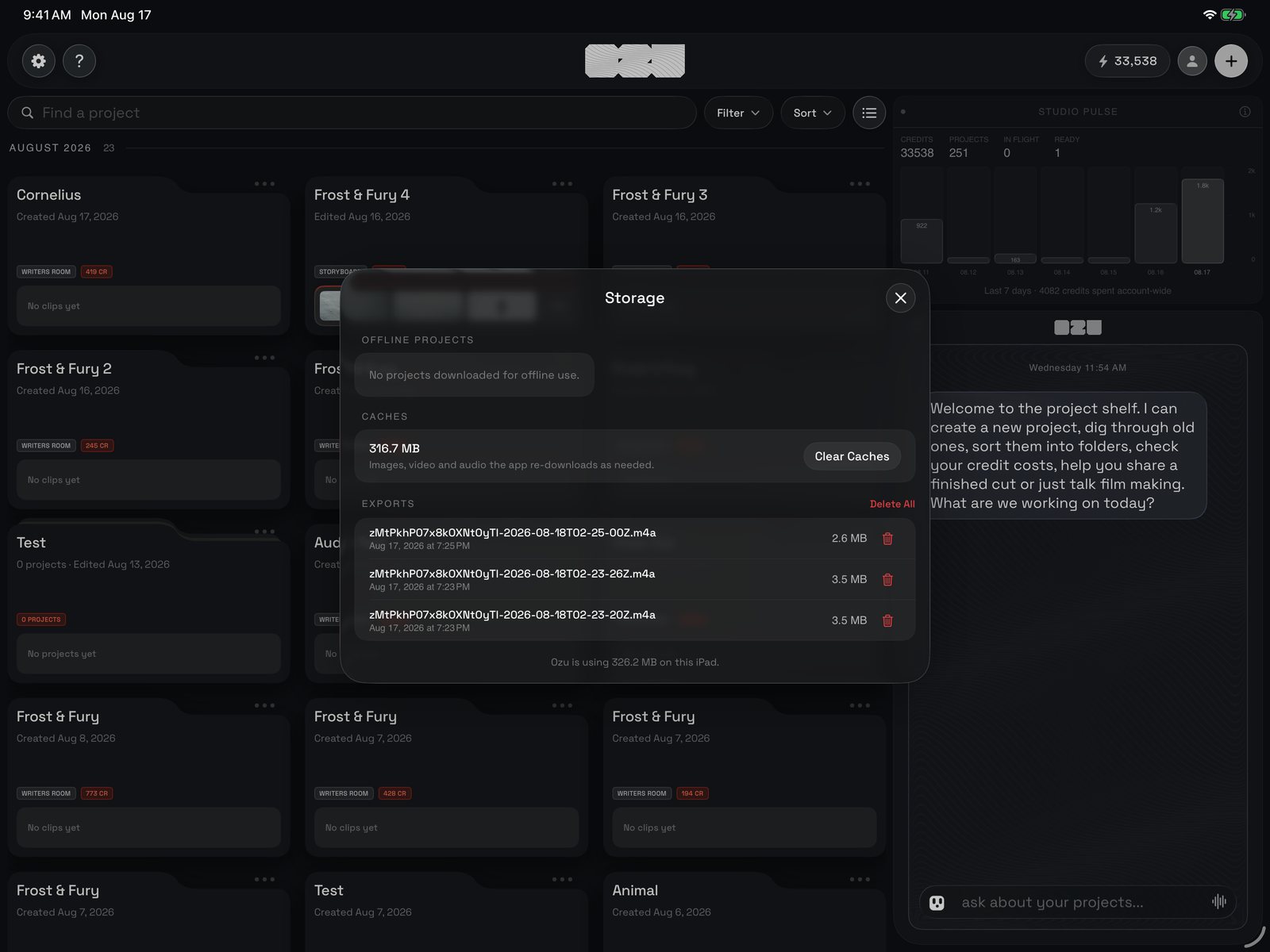 The Storage panel: offline projects at the top, the cache with Clear Caches, the list of exports with a bin on each, and how much Ozu is using on this iPad.