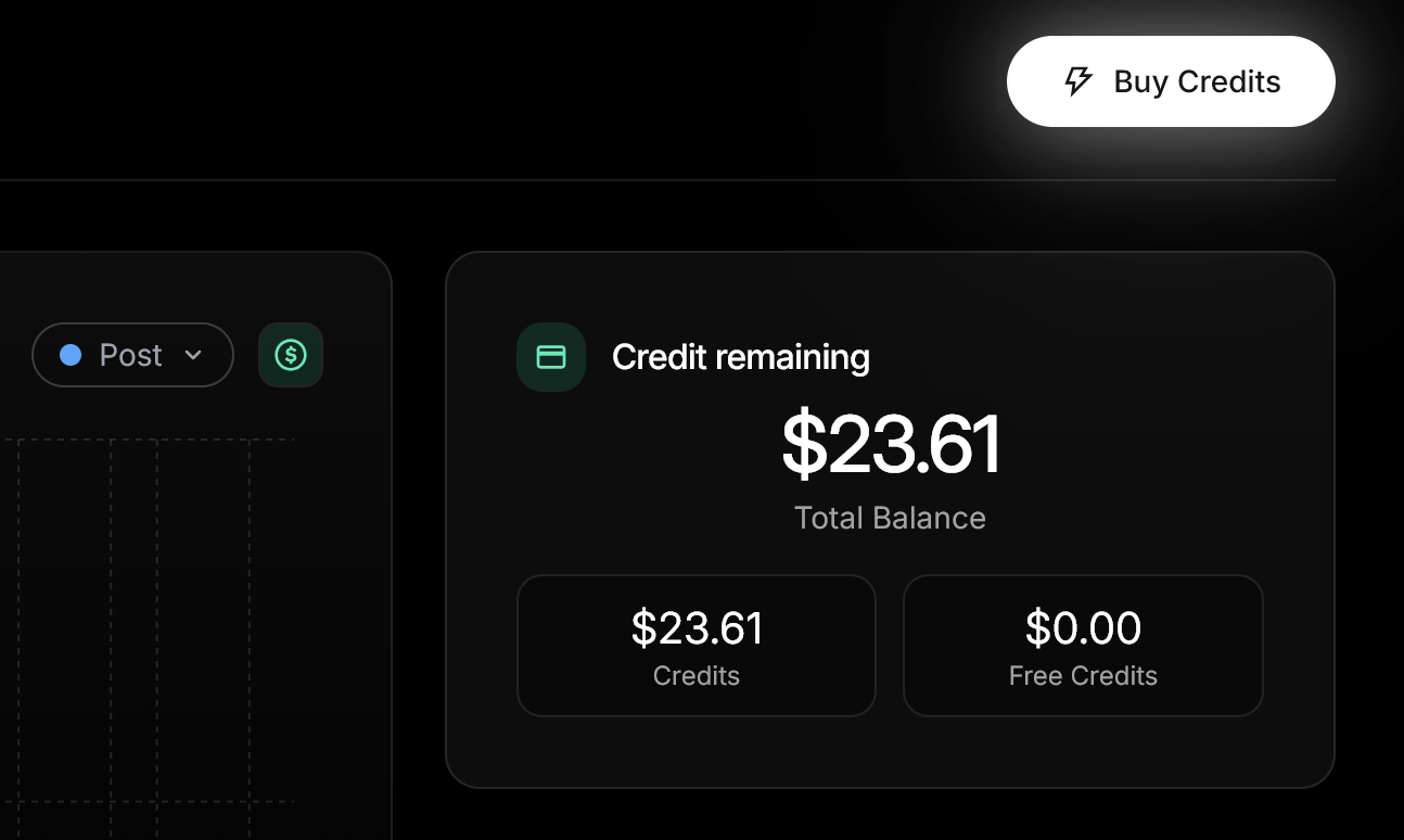 Dashboard showing updated credit balance