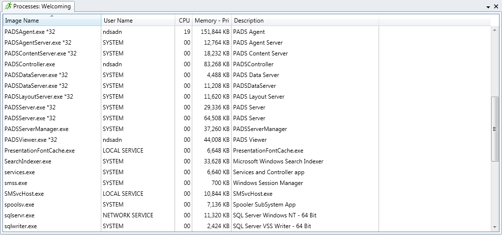EN Agent Processes Pn