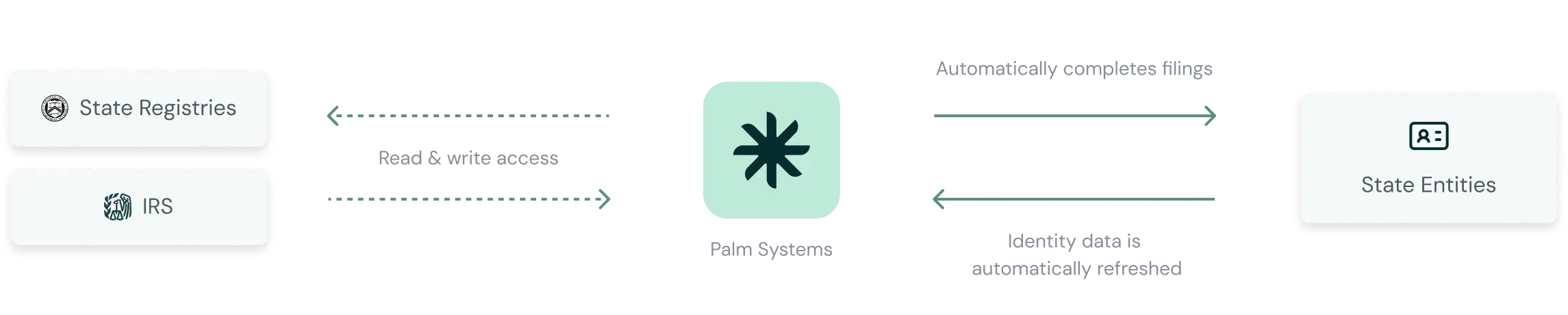 Representation of how the Palm network works.