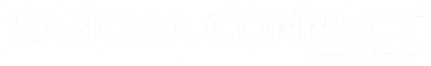 light logo