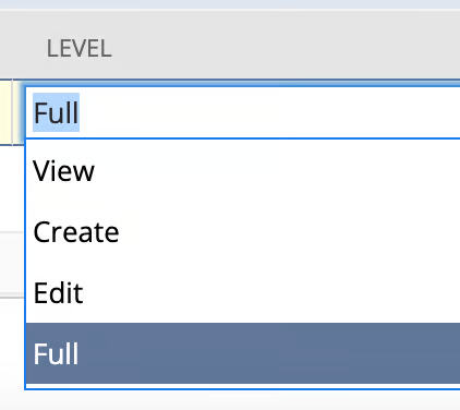 Permission level dropdown on a NetSuite role, with Full selected