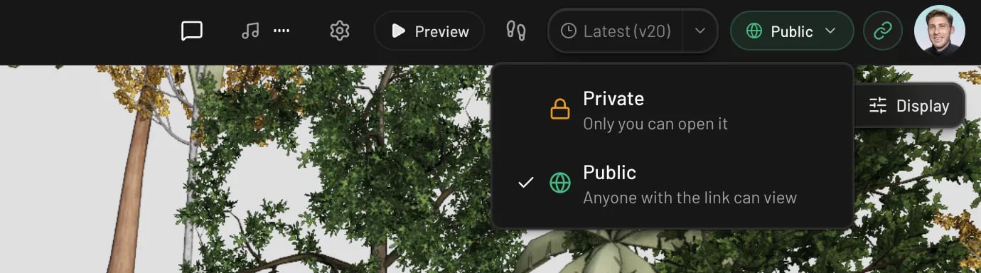 The project visibility menu in the Pascal editor