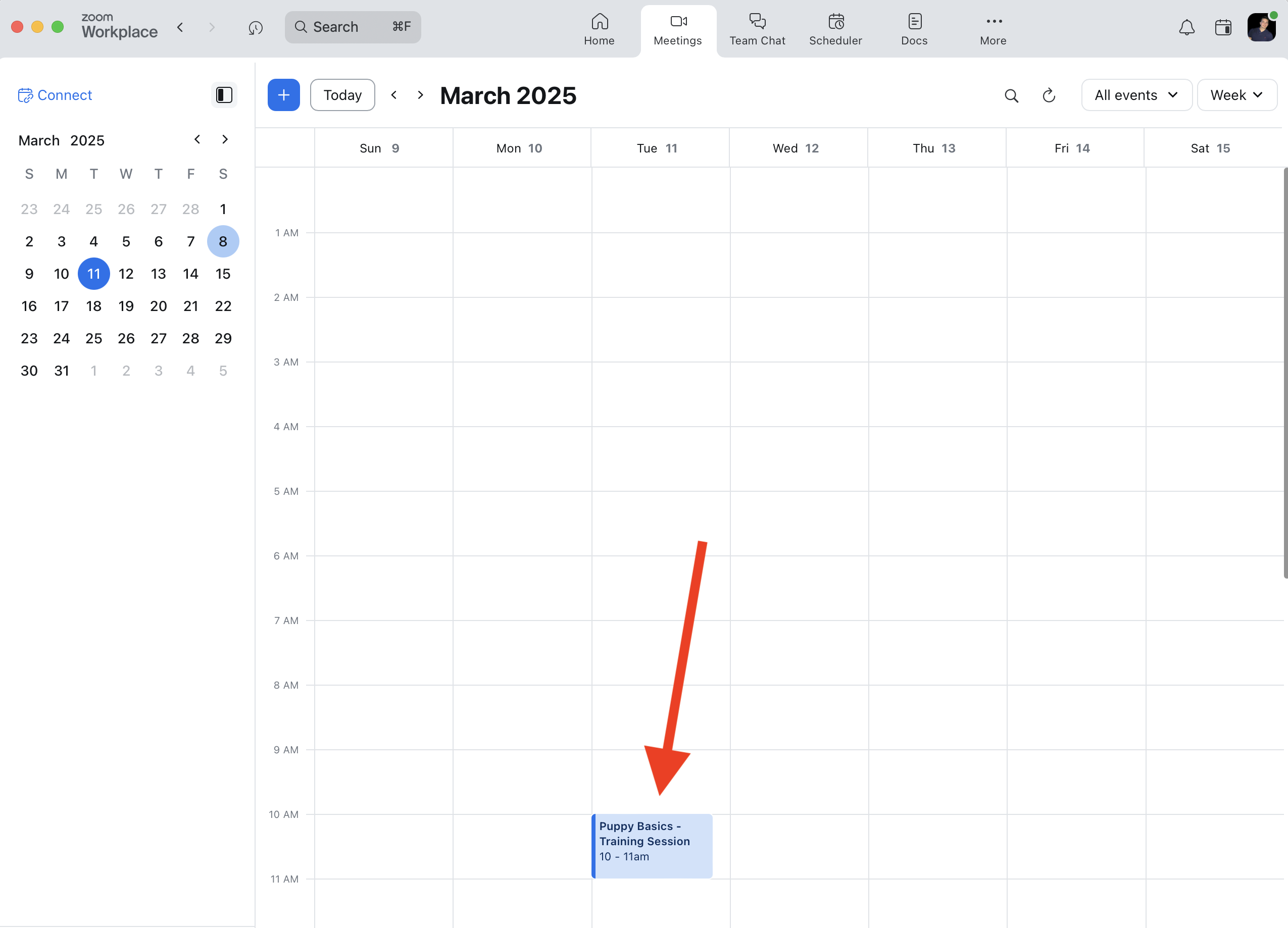 Meeting shown in Zoom dashboard