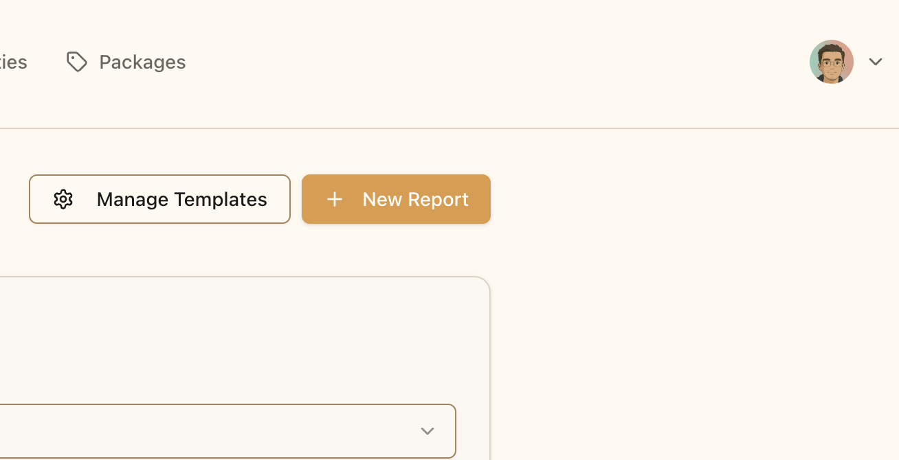 New report button on the reports page