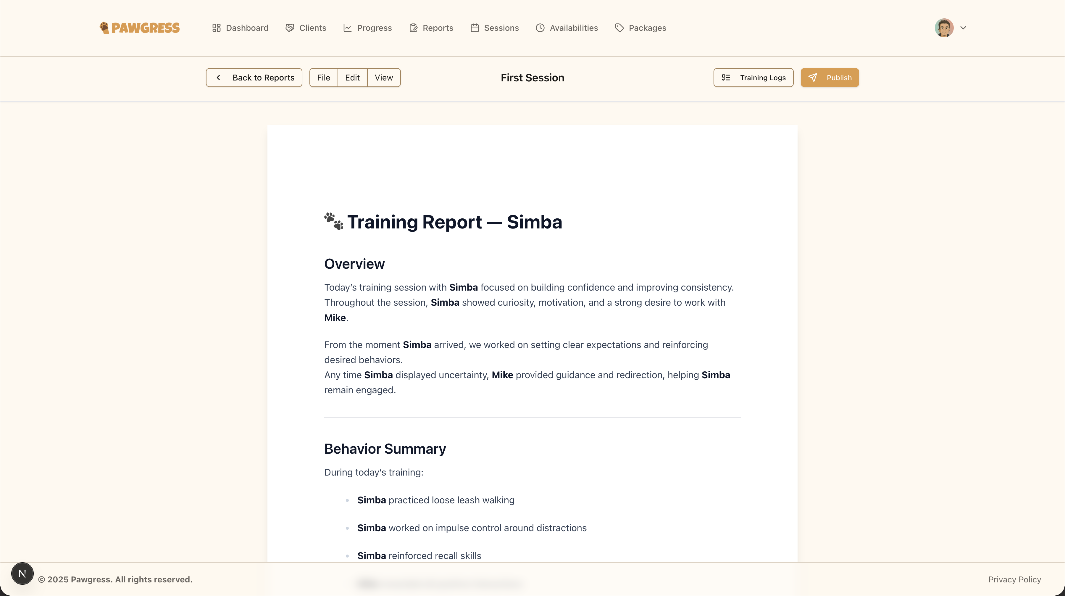 Rich text report editor